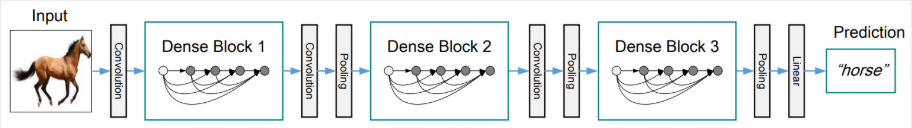 DenseNet Architecture
