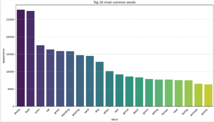 Top 20 common words