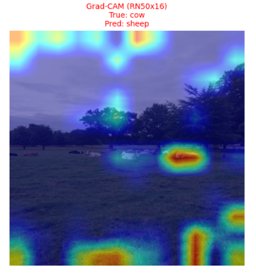 Grad-CAM RN50x16 Cow