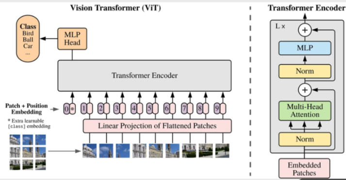 ViT Architecture